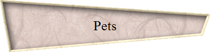 Pets